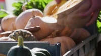 Ainsleys Market Menu S01E03 Logan WEB x264-APRiCiTY [eztv]