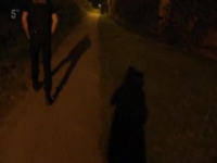 Police Interceptors S17E12 480p x264-mSD [eztv]