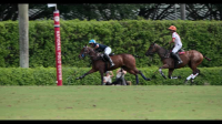 Polo 2024 S01E03 XviD-AFG EZTV