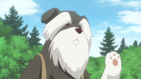 Fluffy Paradise S01E10 1080p HEVC x265-MeGusta EZTV
