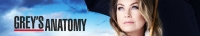 Greys Anatomy S16E21 XviD-AFG[TGx]