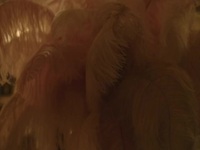 Made In Heaven S02E04 480p x264-mSD EZTV
