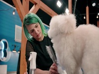 Pooch Perfect US S01E05 480p x264-mSD EZTV