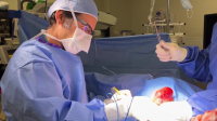 Take My Tumor S01E02 XviD-AFG EZTV