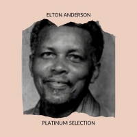 Elton Anderson - Elton Anderson Platinum Selection (2020) Mp3 320kbps [PMEDIA] ️