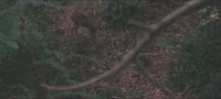 HuntCo S04E09 720p WEB h264-WEBTUBE [eztv]