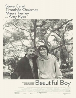 Beautiful Boy (2018) 720p WEB-DL x264 950MB ESubs - MkvHub