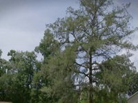 Sleeping With a Killer S01E12 480p x264-mSD EZTV