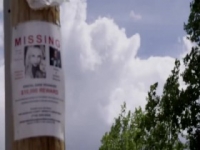 Up and Vanished S02E03 480p x264-mSD [eztv]