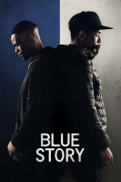 Blue Story 2019 DVDRip x264-CADAVER[TGx]