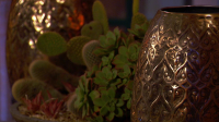 The Bachelor S28E05 1080p HEVC x265-MeGusta EZTV