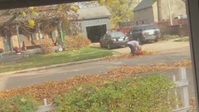 Neighborhood Wars S04E03 XviD-AFG EZTV Neighborhood Wars S04E03 XviD-AFG EZTV