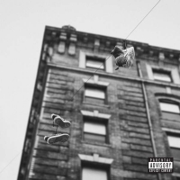 Apollo Brown & Skyzoo - The Easy Truth (2016) [MP3~320Kbps]~[Hunter] [FRG]