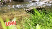 Teen Mom 2 S08E17 WEB x264-TBS[eztv]