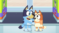 Bluey S03E45 1080p HEVC x265-MeGusta EZTV Bluey S03E45 1080p HEVC x265-MeGusta EZTV