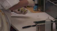Hells Kitchen US S19E13 720p HEVC x265-MeGusta EZTV