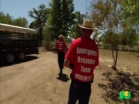 Animal Cops Houston S09E22 480p x264-mSD [eztv]
