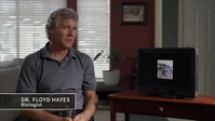 The Proof Is Out There S03E06 XviD-AFG EZTV