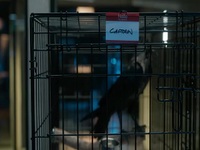 CSI Vegas S02E09 480p x264-mSD EZTV CSI Vegas S02E09 480p x264-mSD EZTV
