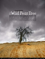 The Wild Pear Tree (2018) 720p BRRip 1 7GB - MkvCage