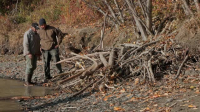 Mountain Men S13E02 XviD-AFG EZTV Mountain Men S13E02 XviD-AFG EZTV