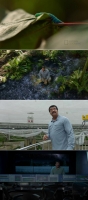 Cosmos Possible Worlds S01E07 720p x265-ZMNT