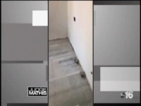 Judge Mathis S21E72 480p x264-mSD [eztv]