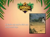 Howie Mandels Animals Doing Things S02E06 480p x264-mSD [eztv]
