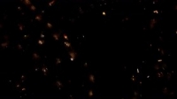 Ambulance S05E03 HDTV x264-UNDERBELLY [eztv]