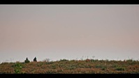 Yellowstone 2018 S04E06 XviD-AFG EZTV Yellowstone 2018 S04E06 XviD-AFG EZTV