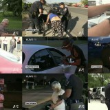 Live PD S03E75 HDTV x264-CRiMSON