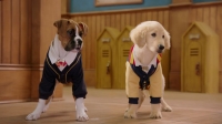 Pup Academy S02E04 1080p HEVC x265-MeGusta EZTV