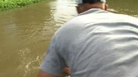 Swamp People S12E16 720p HEVC x265-MeGusta EZTV Swamp People S12E16 720p HEVC x265-MeGusta EZTV