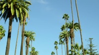 Pawn Stars S21E09 720p HEVC x265-MeGusta EZTV Pawn Stars S21E09 720p HEVC x265-MeGusta EZTV