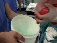 Embarrassing Bodies S07E06 480p x264-mSD [eztv]