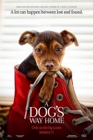 A Dogs Way Home 2019 HDRiP x264 AC3-RiPRG