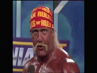 WWE WrestleMania 6 1990 480p x264-mSD EZTV