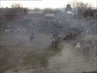 The Jack Bull 1999 720p BluRay H264 AAC