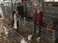 Springtime On The Farm S04E03 480p x264-mSD EZTV