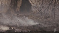 Outback Ringer S02E06 720p HDTV x264-CBFM EZTV Outback Ringer S02E06 720p HDTV x264-CBFM EZTV