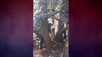 Rescue Cam S01E04 WEB h264-BAE EZTV