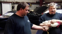 Misfit Garage S06E01 WEB x264-TBS[eztv]