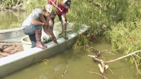 Swamp People S13E14 1080p HEVC x265-MeGusta EZTV