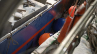 Deadliest Catch S19E22 XviD-AFG EZTV