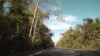 Secrets of the Elephants S01E03 XviD-AFG EZTV Secrets of the Elephants S01E03 XviD-AFG EZTV