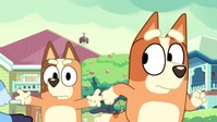 Bluey 2018 S03E10 Magic 720p WEB-IPT mp4 EZTV Bluey 2018 S03E10 Magic 720p WEB-IPT mp4 EZTV
