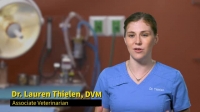 Pop Goes the Vet S01E01 Pus Problems XviD-AFG EZTV Pop Goes the Vet S01E01 Pus Problems XviD-AFG EZTV