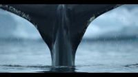 Our Oceans S01E05 XviD-AFG EZTV Our Oceans S01E05 XviD-AFG EZTV