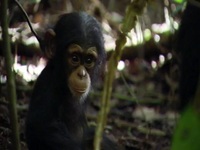 Wild Winners S01E03 480p x264-mSD EZTV Wild Winners S01E03 480p x264-mSD EZTV