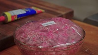 Beat Bobby Flay S33E08 XviD-AFG EZTV